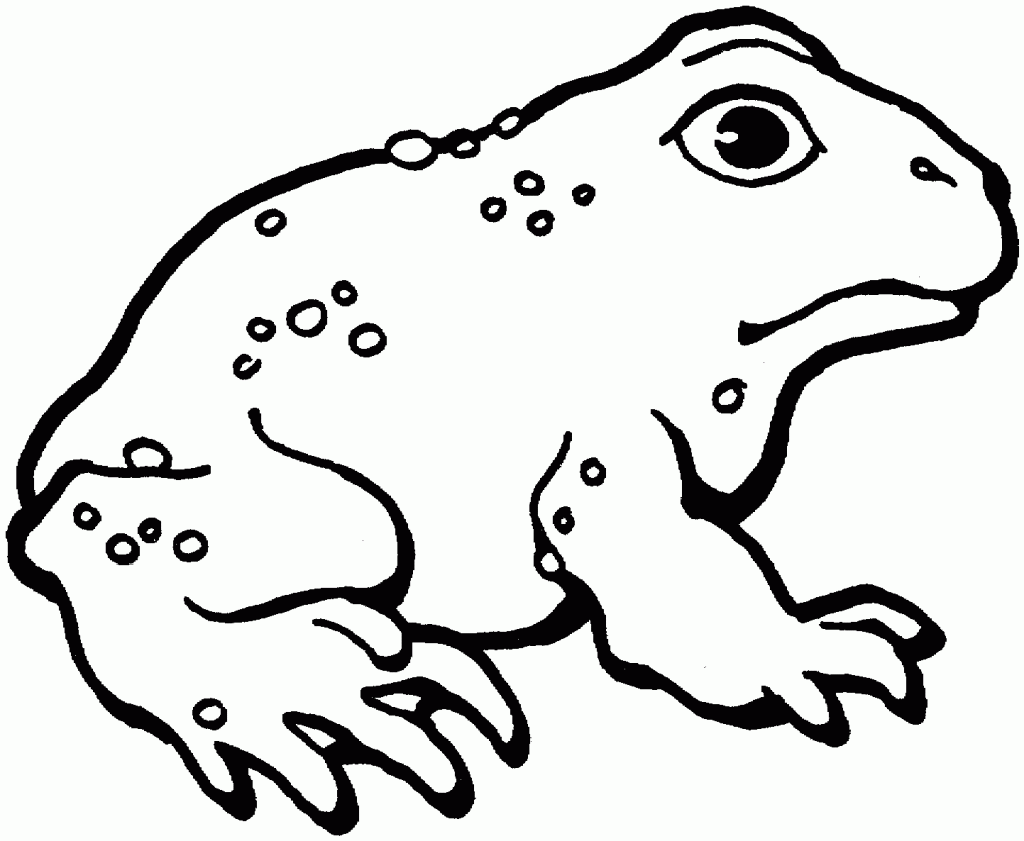 Free printable toad coloring pages for kids animal coloring pages frog coloring pages coloring pages for kids