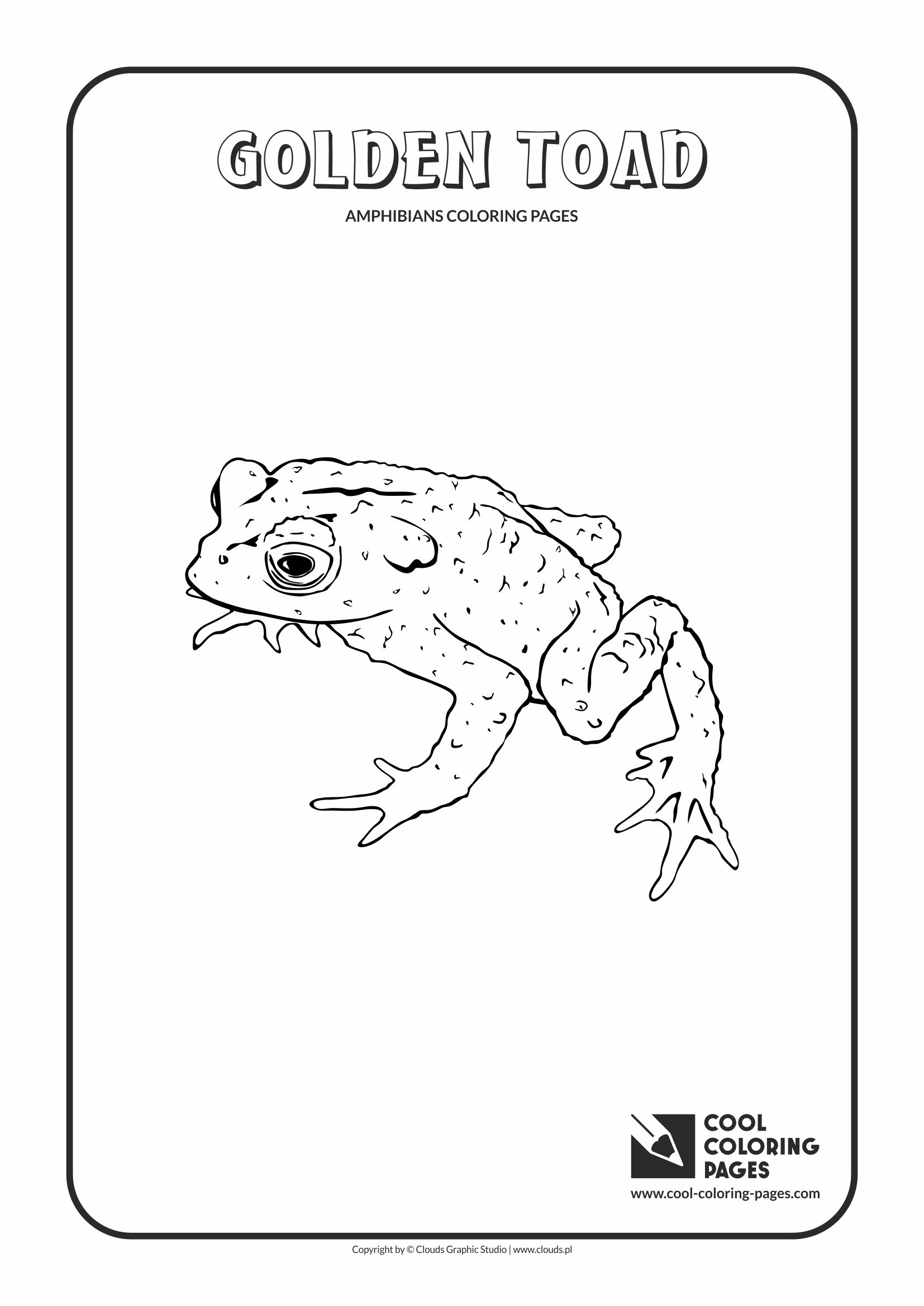 Cool coloring pages golden toad coloring page