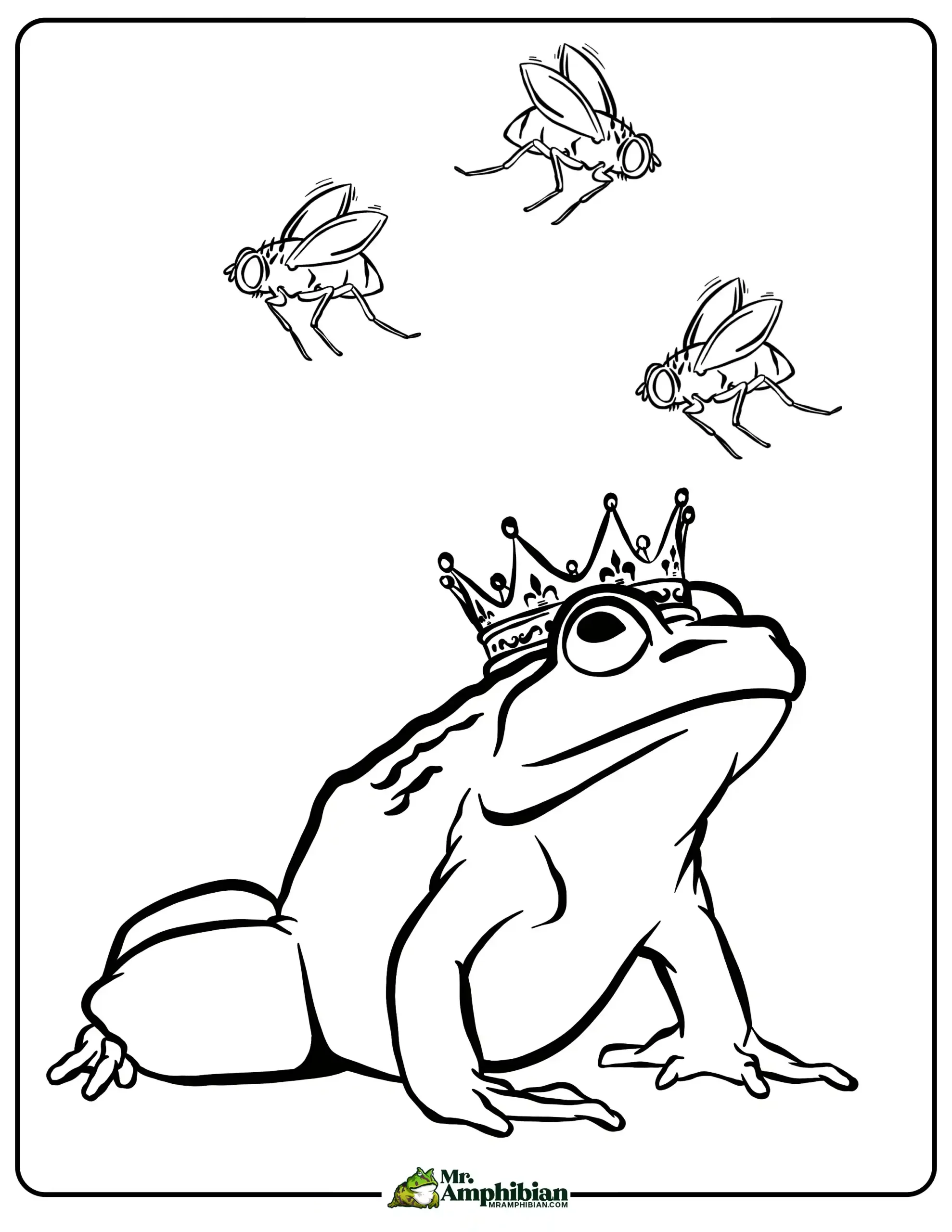 Frog coloring pages printable