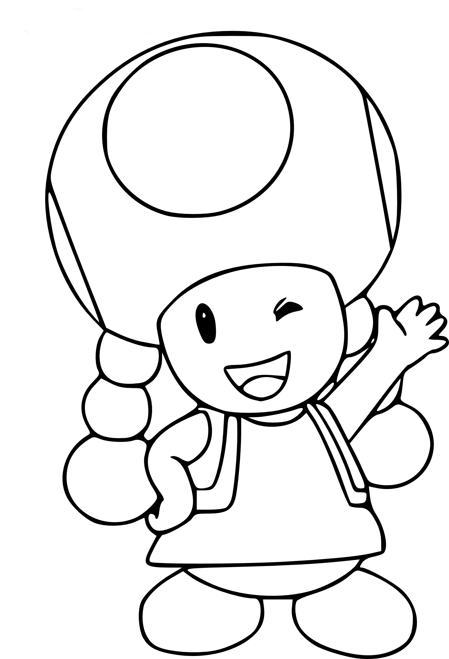 Toadette mario coloring page