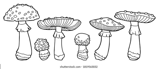 Thousand coloring pages mushroom royalty