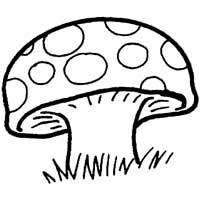 Spotted toadstool coloring pages