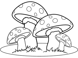 Mushrooms