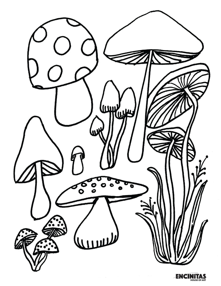 Mushroom coloring page â encinitas house of art