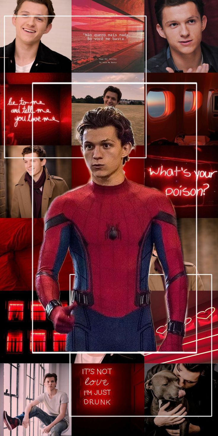 Peter parker tom holland wallpapers