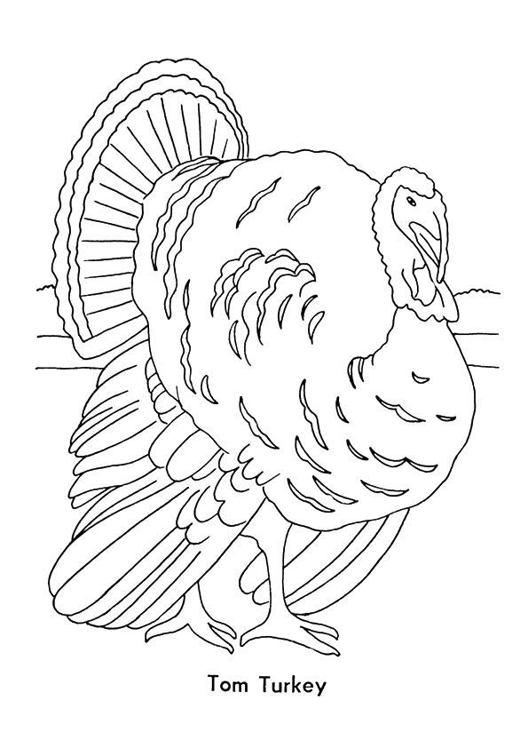 Coloring page turkey coloring pages thanksgiving coloring pages coloring pages