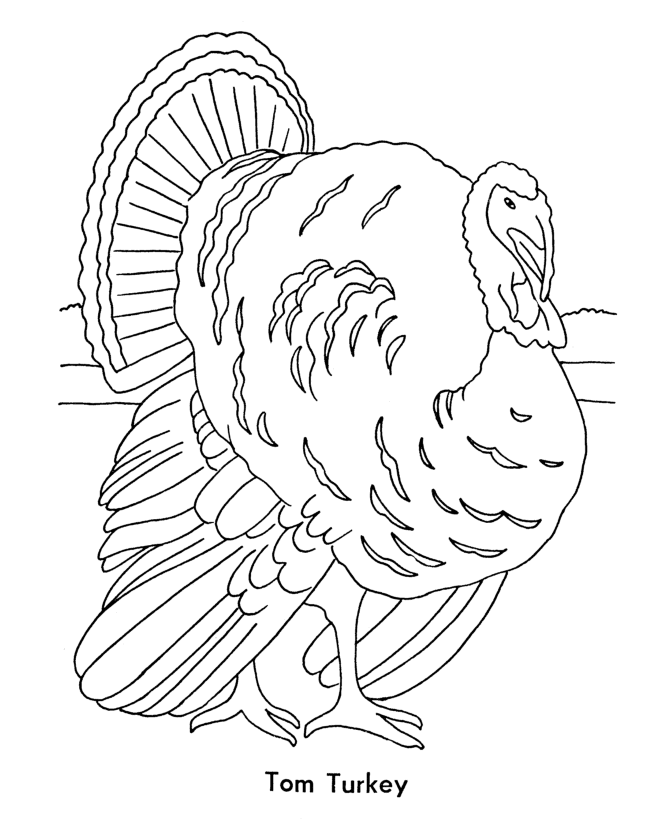 Thanksgiving holiday coloring page sheets thanksgiving tom turkey