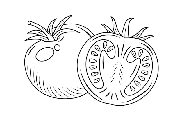 Tomato coloring page images