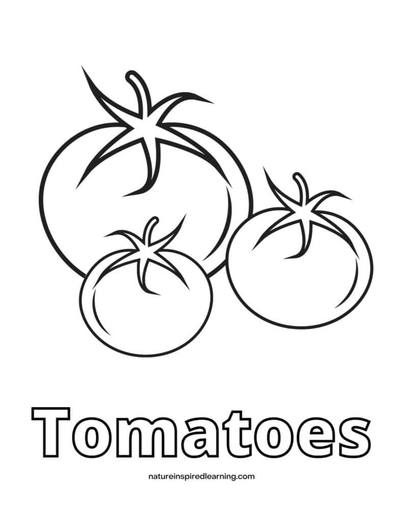 Tomato coloring pages