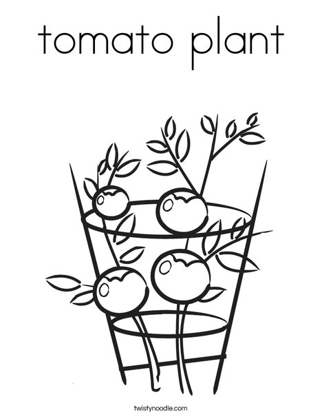 Tomato plant coloring page