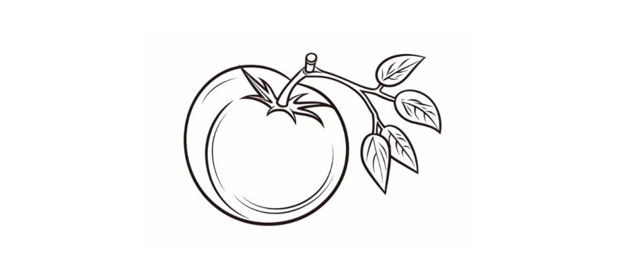 Tomato coloring pages