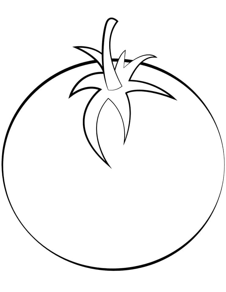 Simple tomato coloring page