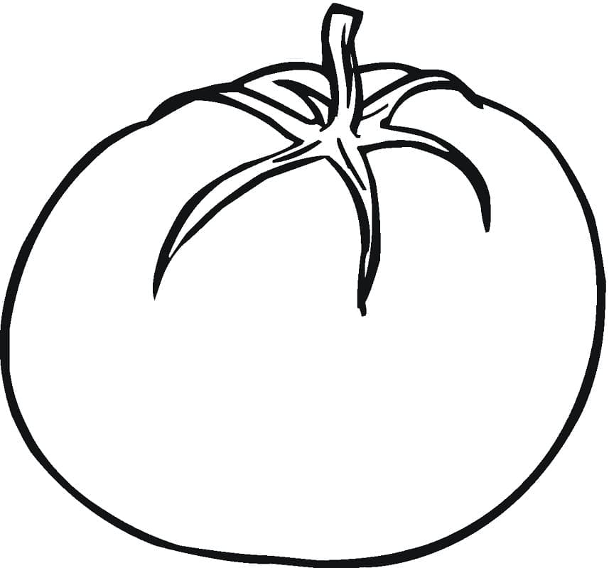 Big tomato coloring page