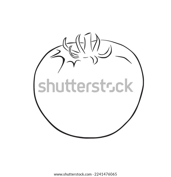 This cute tomato coloring book pages stock vector royalty free