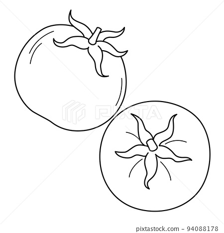 Tomato fruit isolated coloring page for kids