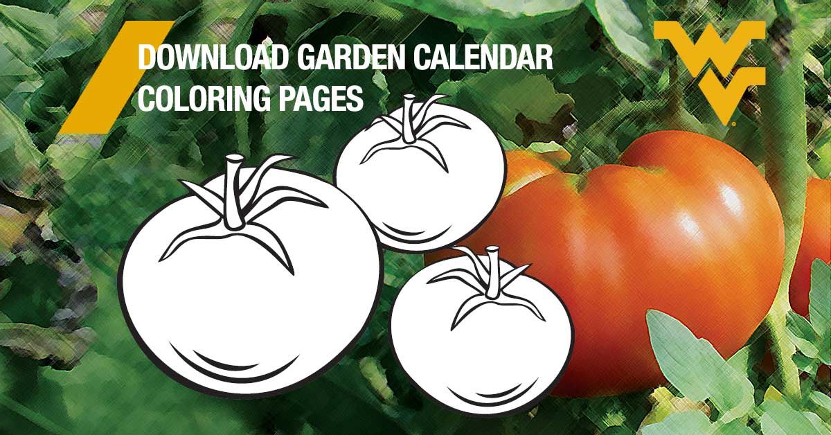 Garden calendar coloring pages west virginia university