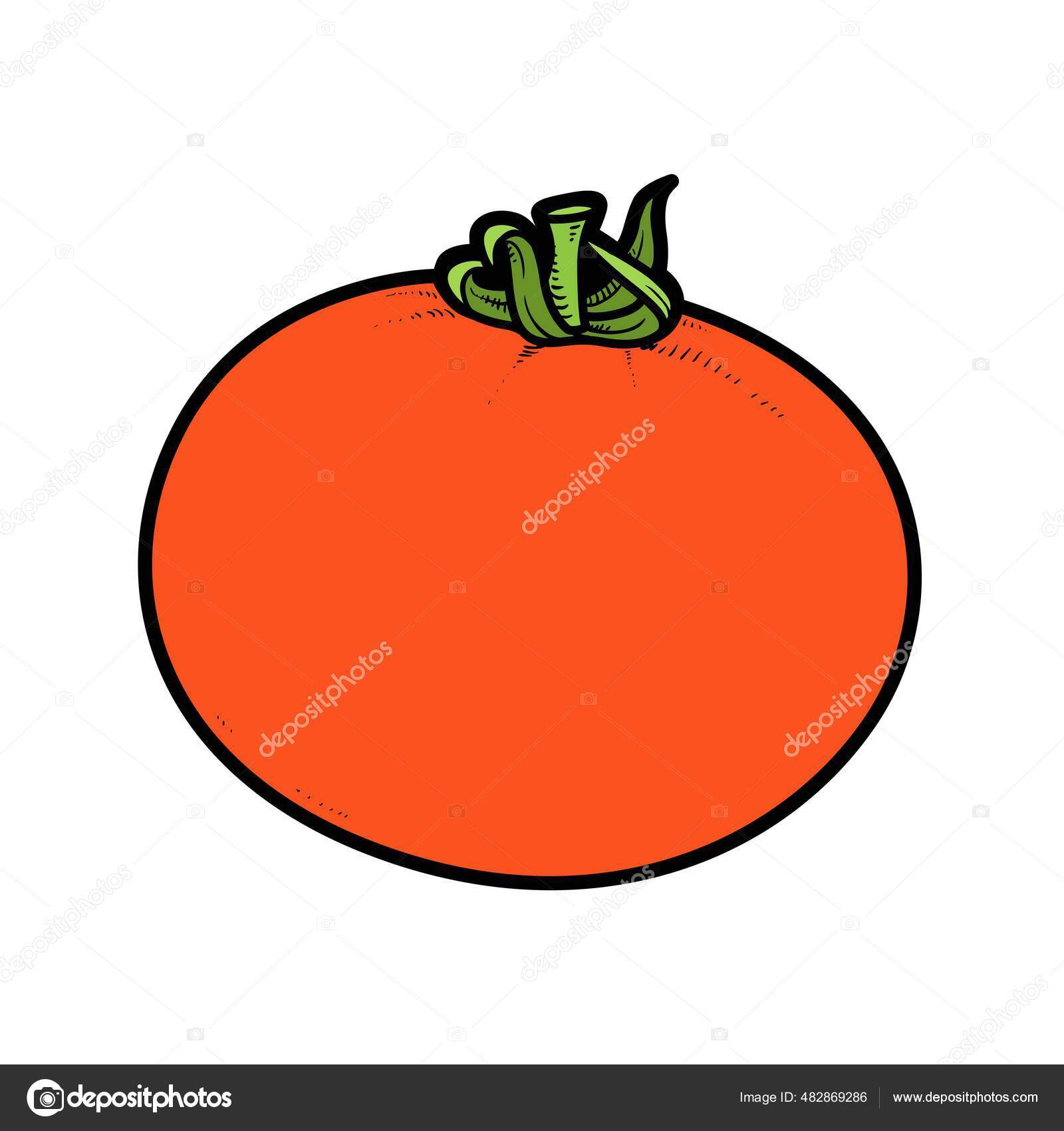 Big juicy tomato color variation coloring page isolated white background stock vector by yadviga