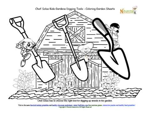 Chef solus kids garden story