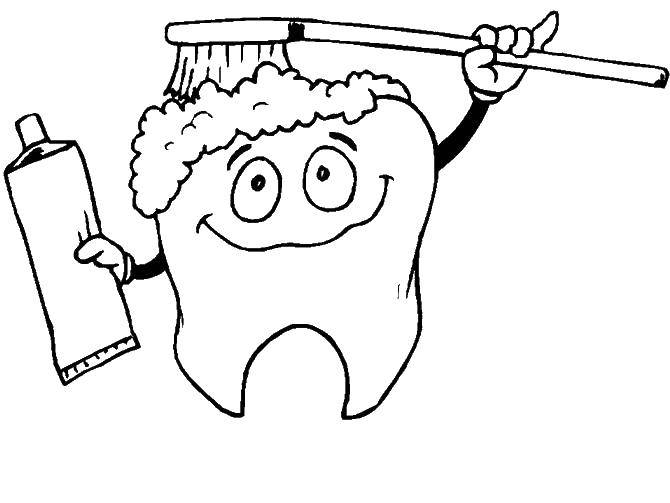 Online coloring pages coloring page tooth and toothbsh coloring download print coloring page