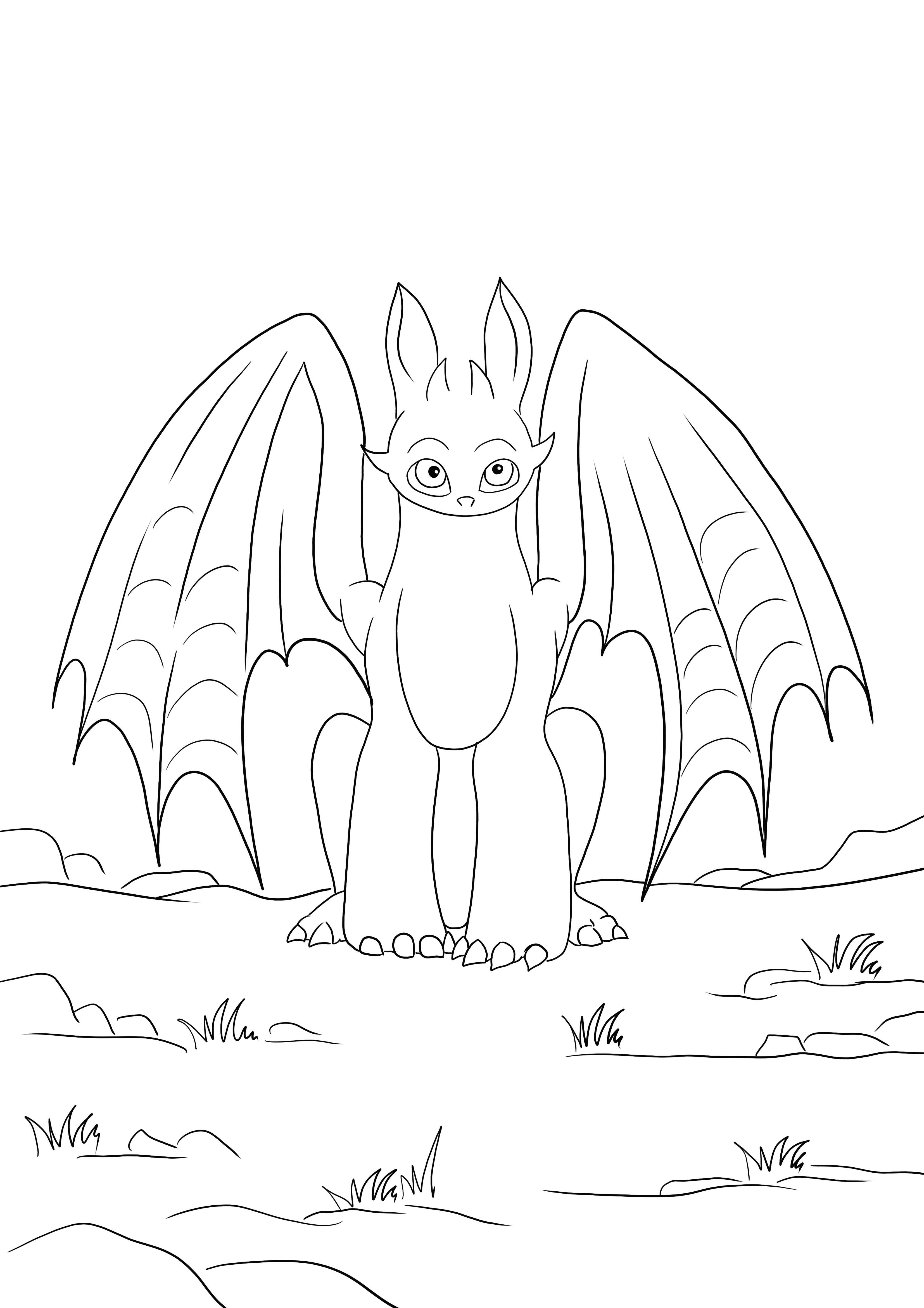 Toothless from how to train your dragon animatn story free printing and ready to color