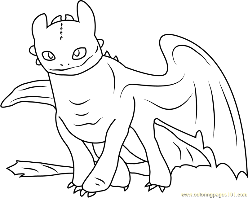 Toothless coloring page for kids