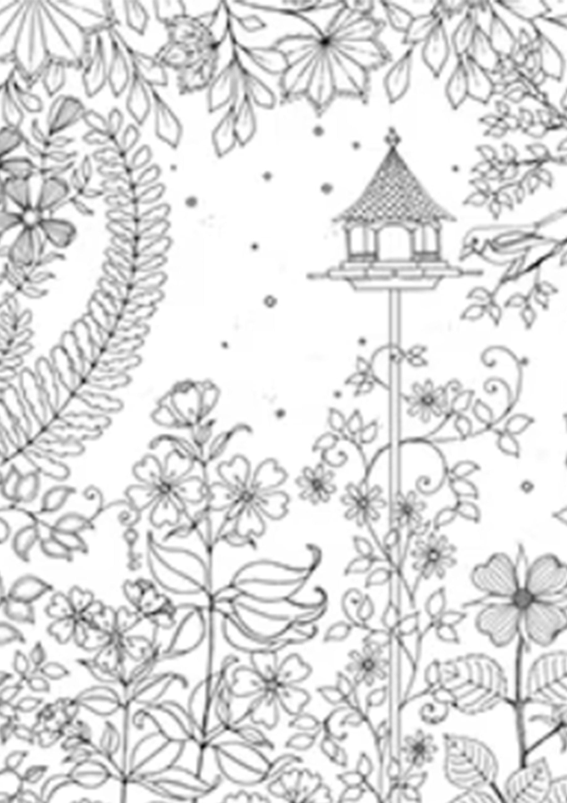 Adult coloring pages sarah renae clark