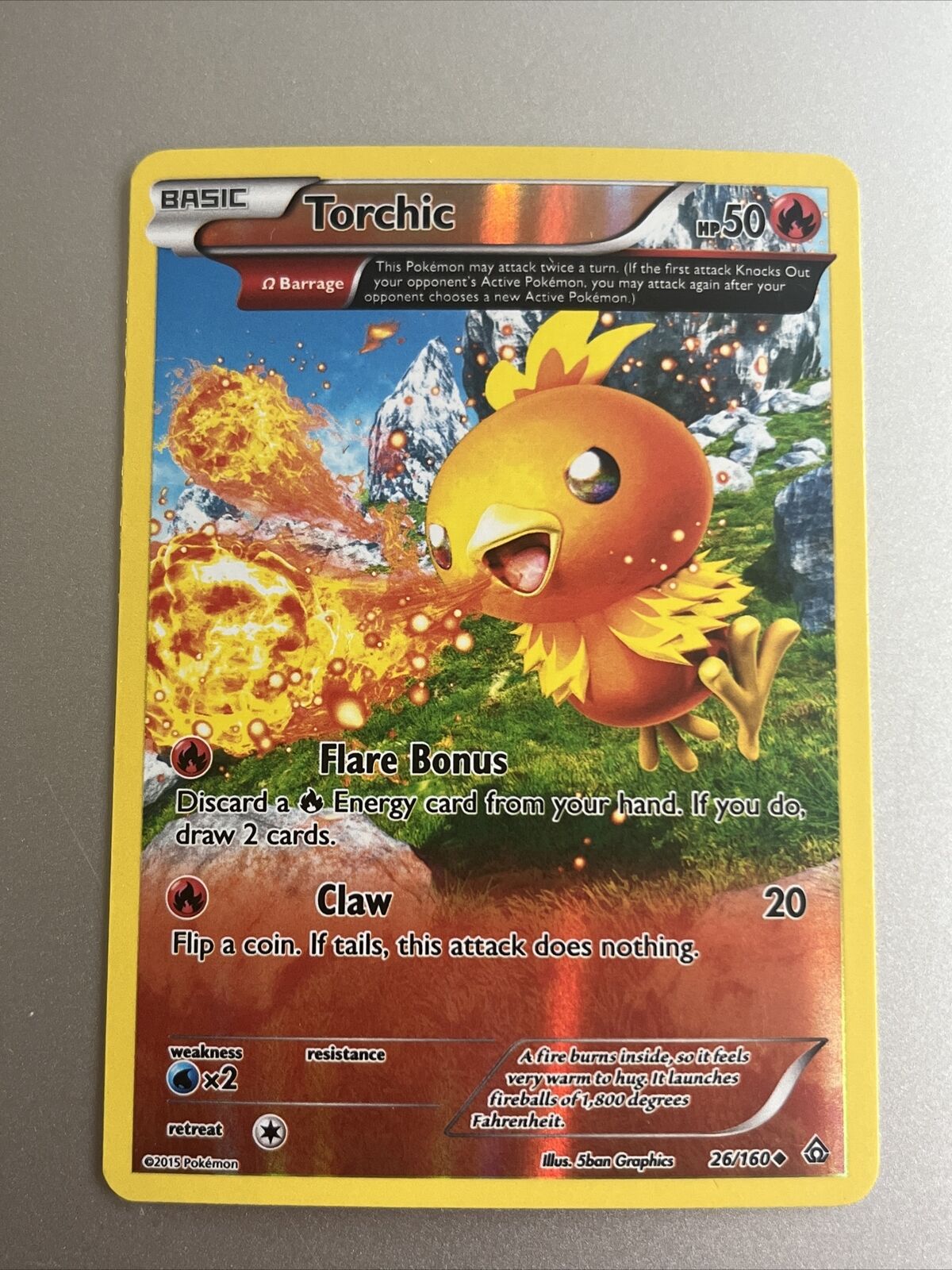 Torchic primal clash