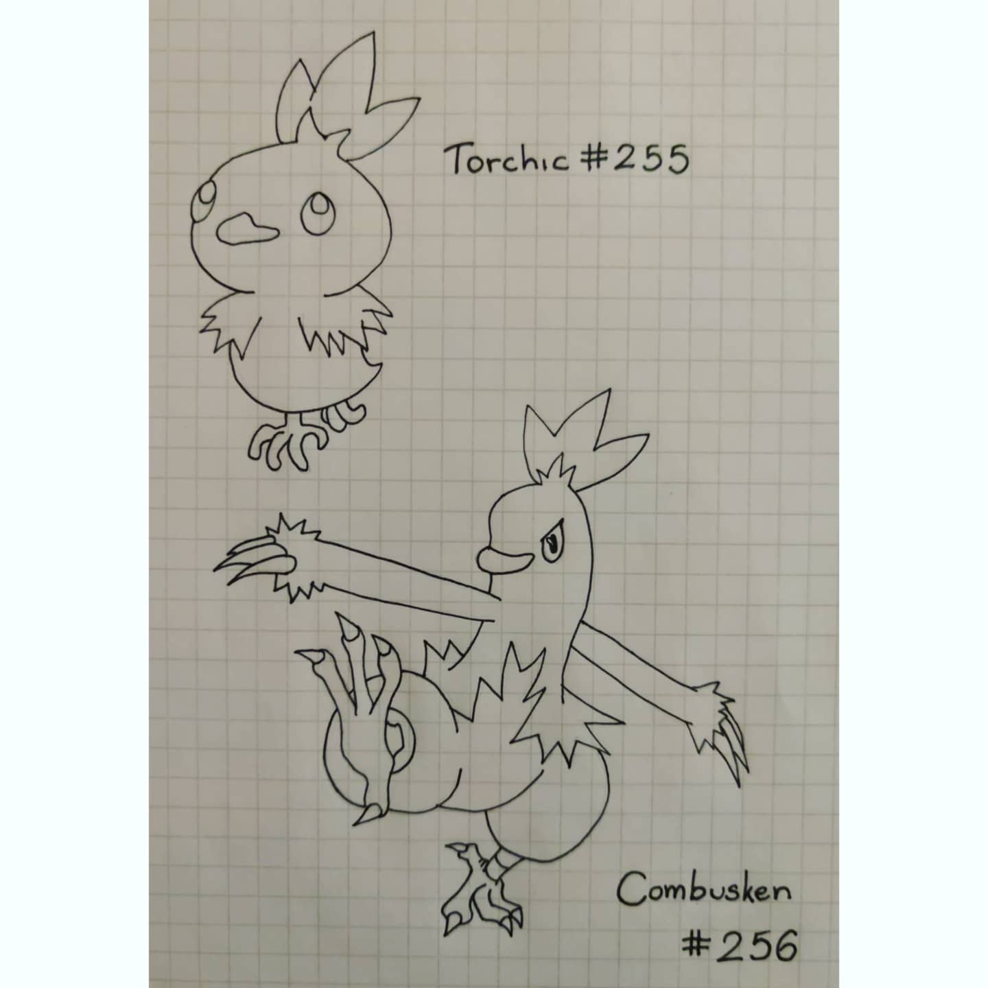 I drew a pokemon coloring book for my nephew rpokemon