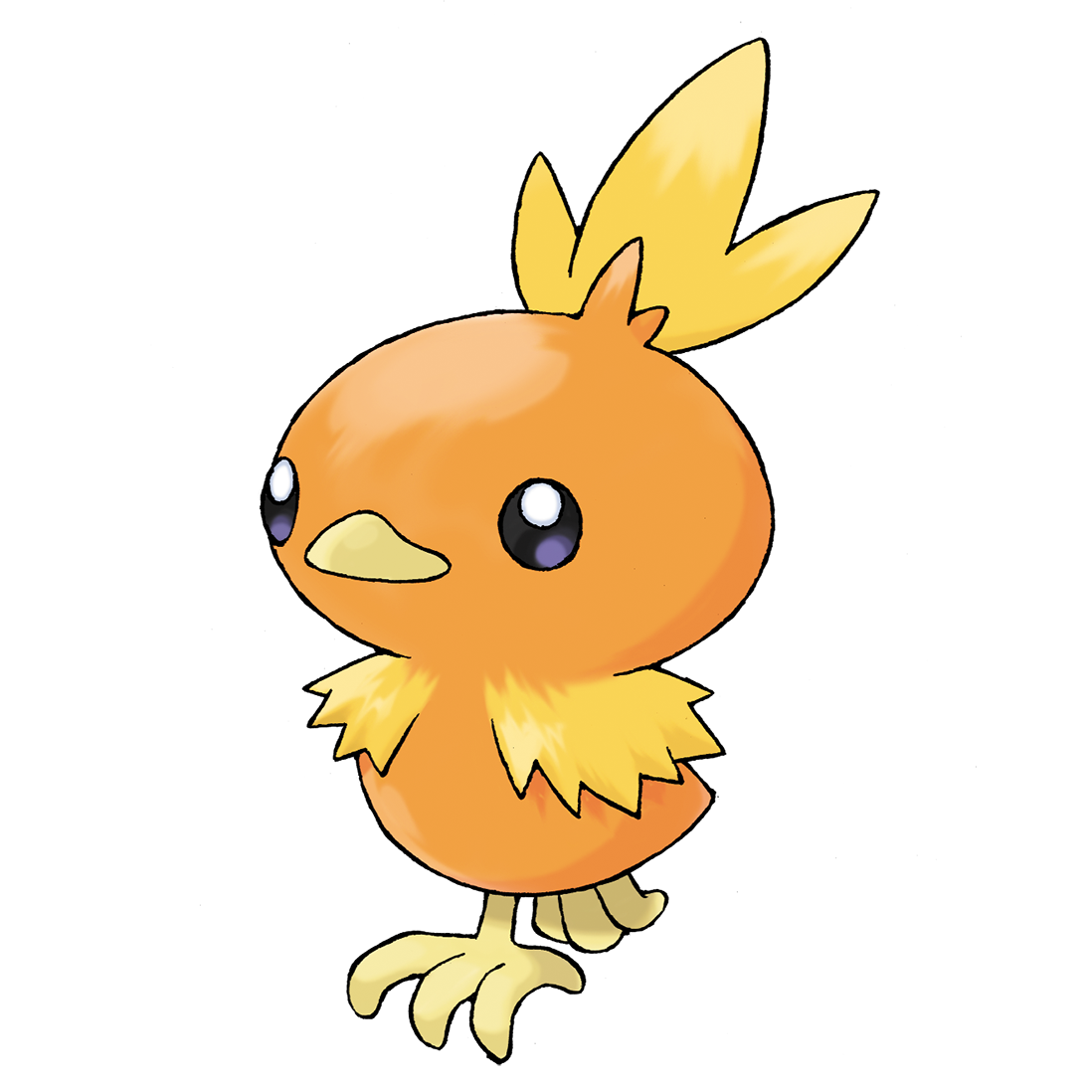 Torchic pokãmon