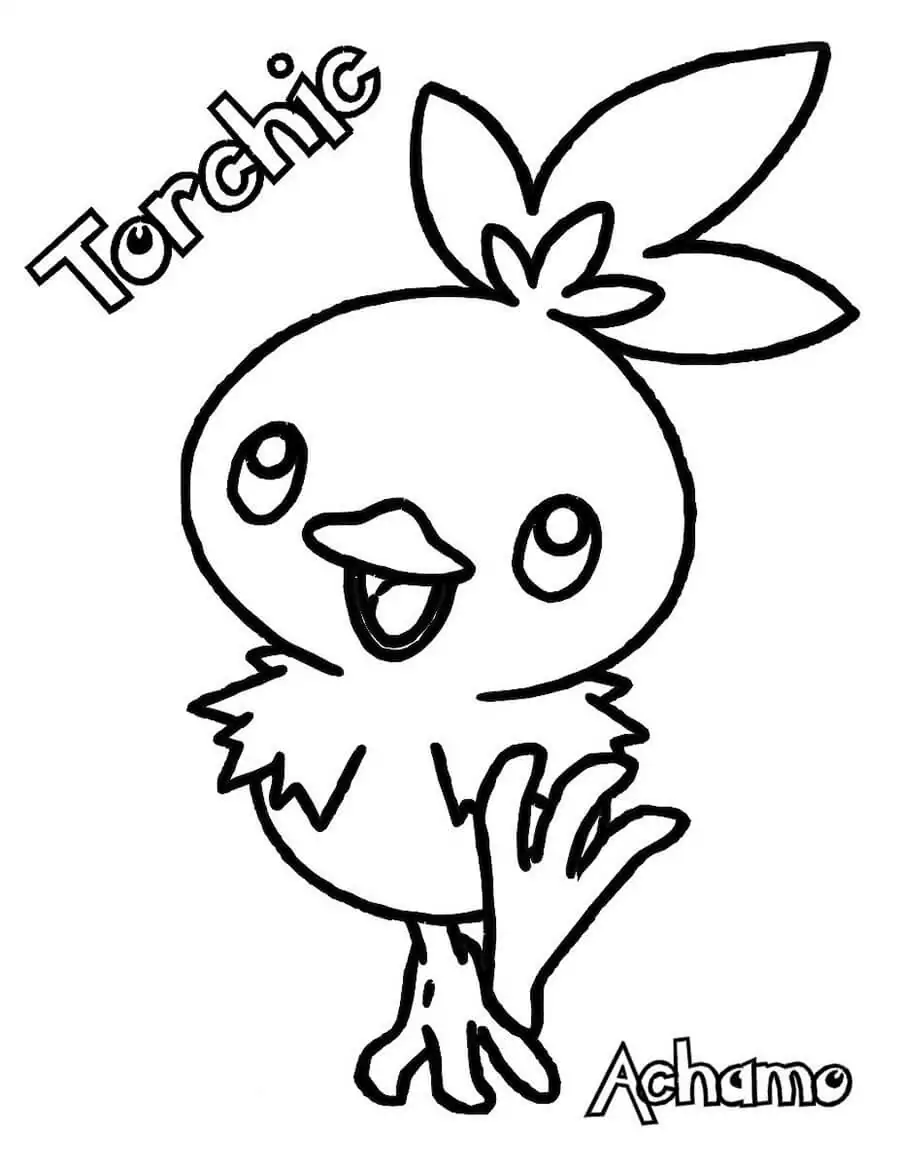 Torchic achamo coloring page