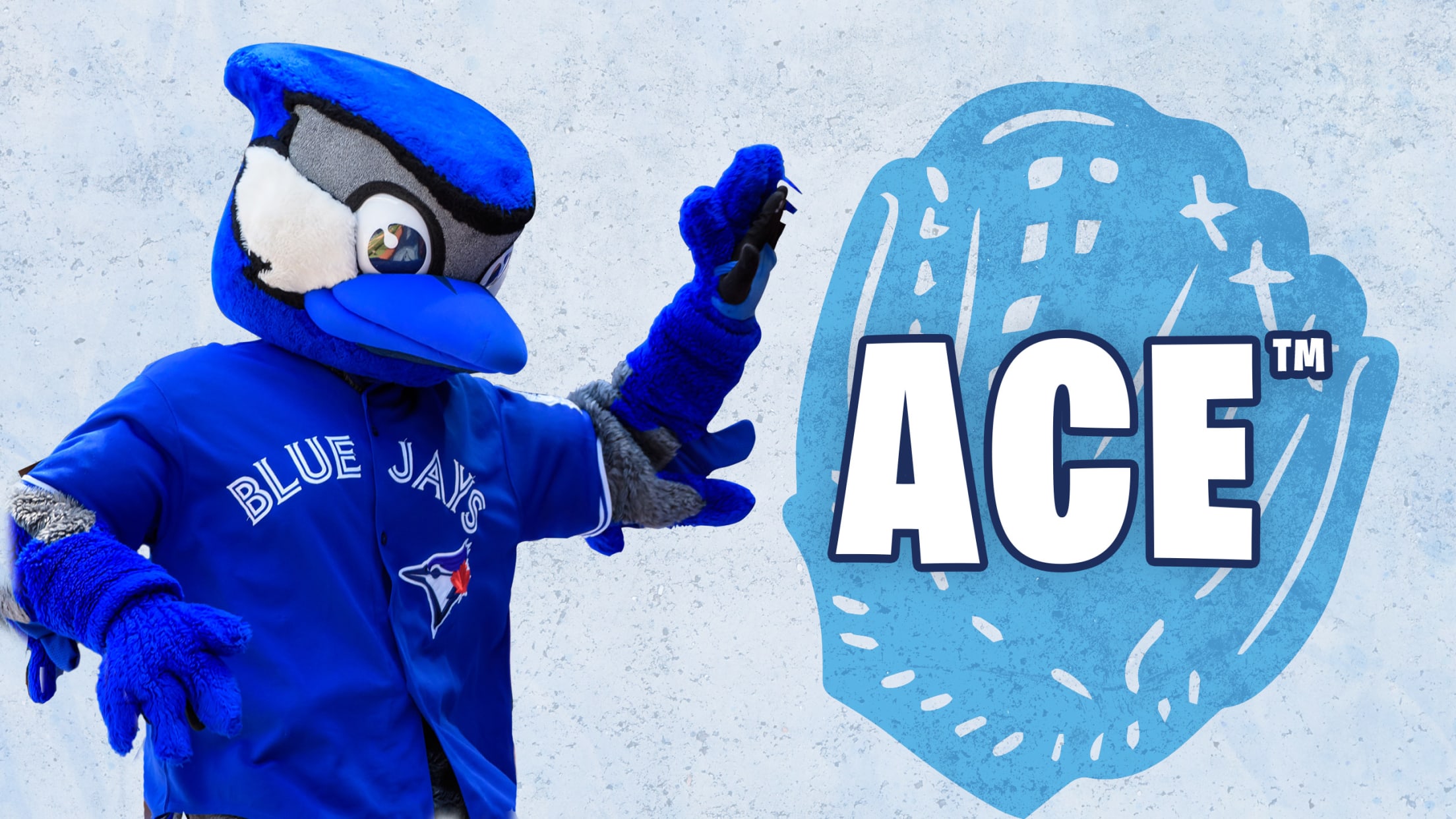 Printable activities toronto blue jays