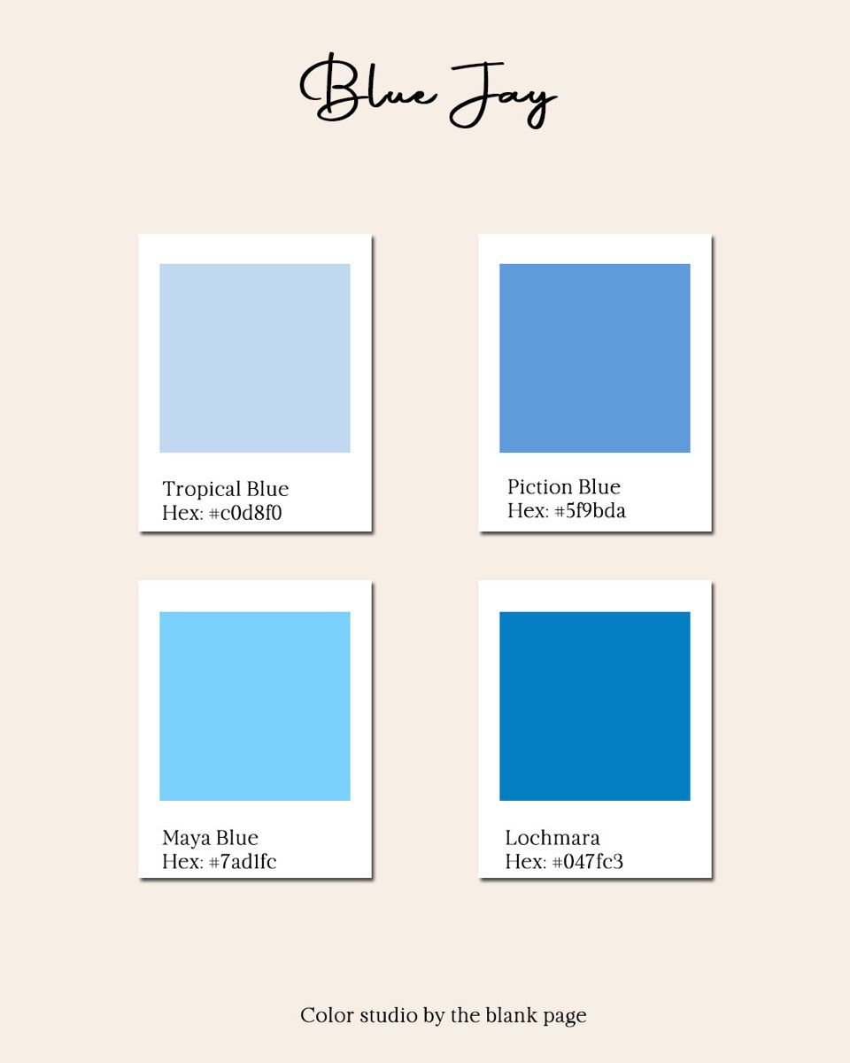 Blue jay color palette tropical blue color inspiration color