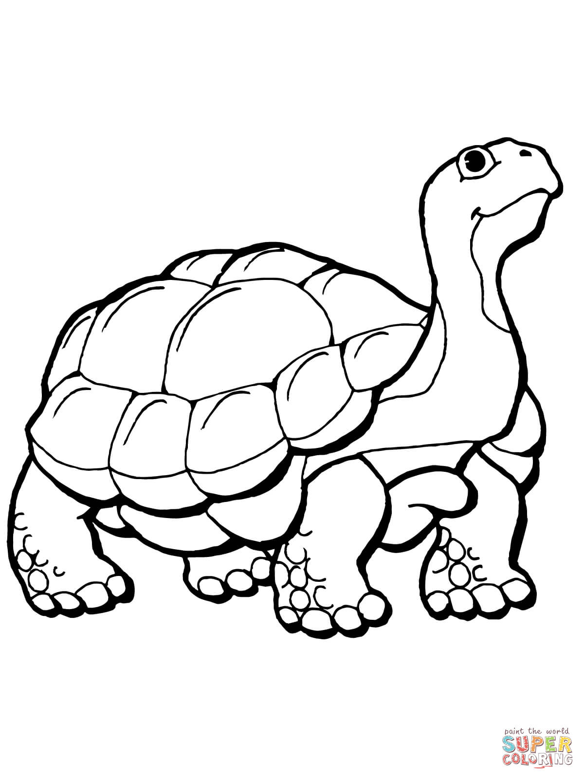 Tortoise coloring page free printable coloring pages