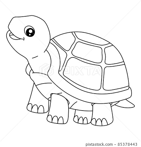 Turtle coloring page for isolated kids