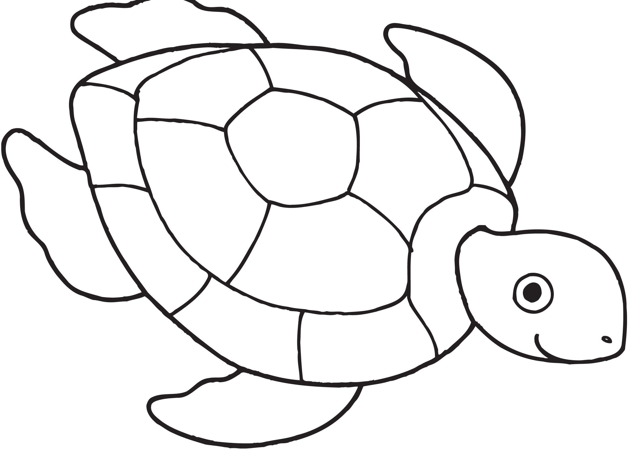 Coloring pages printable free turtle coloring pages