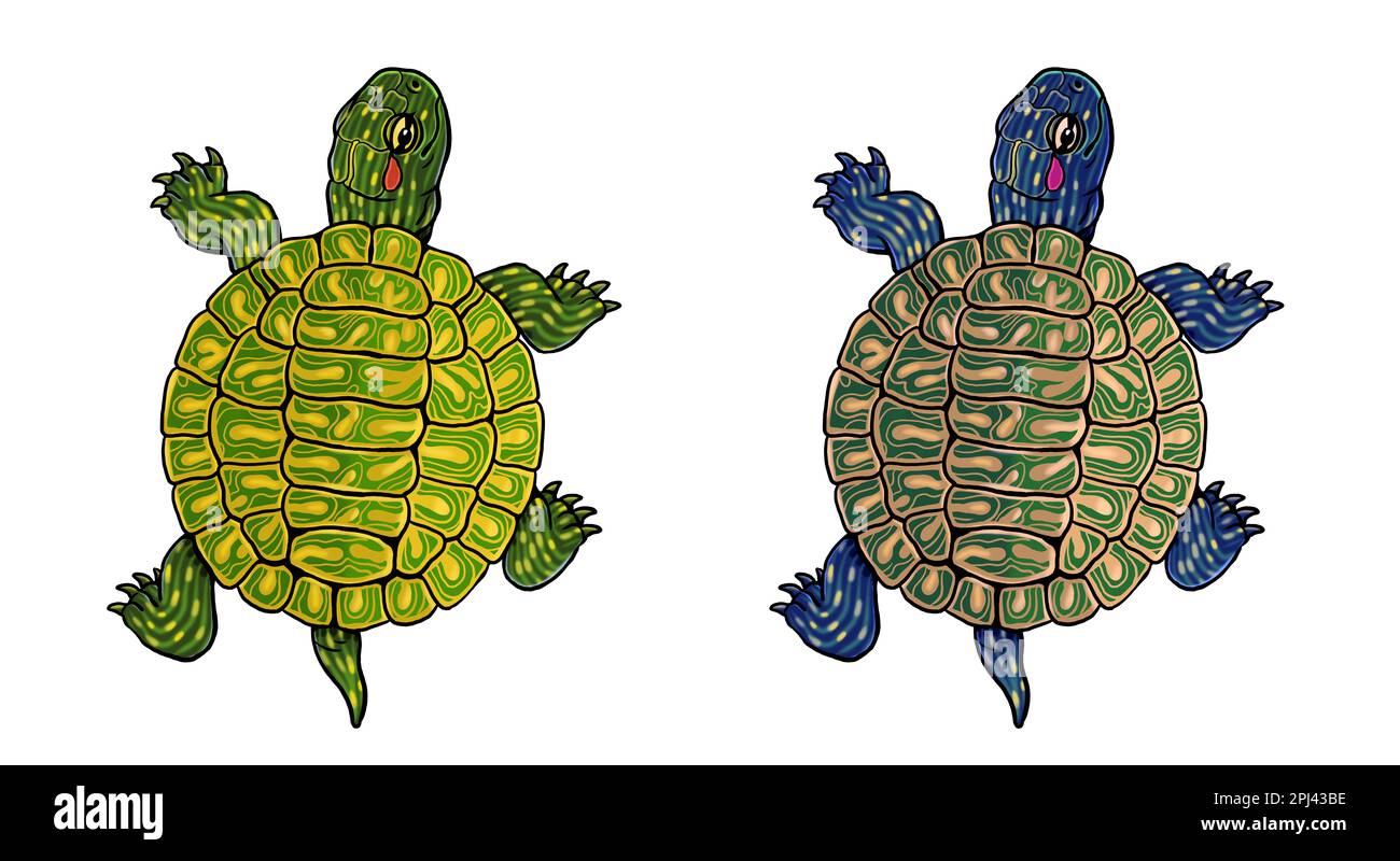 Linda ilustraciãn de tortuga plantilla para un libro para colorear con reptil divertido pãgina para colorear para niãos fotografãa de stock