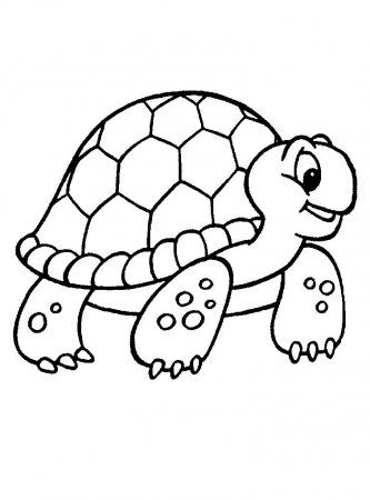 Coloring pages for kids turtle drawing turtle sketch animal illustration art