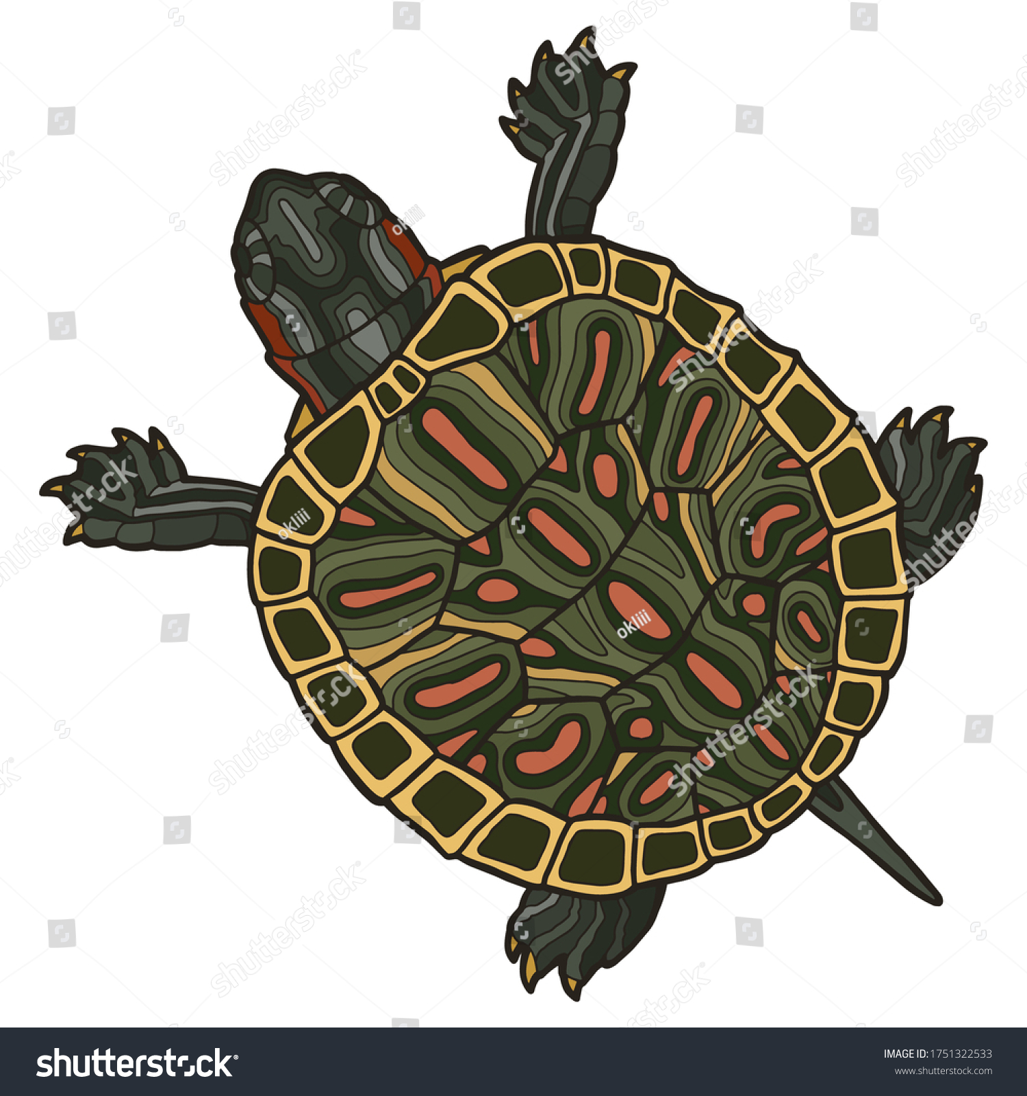 Pet turtle redeared slidertrachemys scripta elegans stock vector royalty free