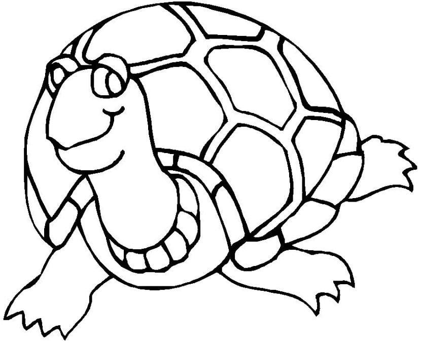 Dibujos de tortugas para colorear mundo tortugas