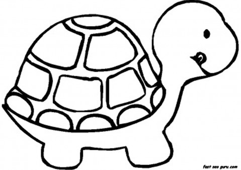 Print out baby turtle coloring book pages