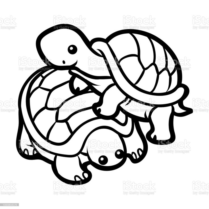 Coloring book for children two tortoises tortuga para colorear libro de colores mar para colorear