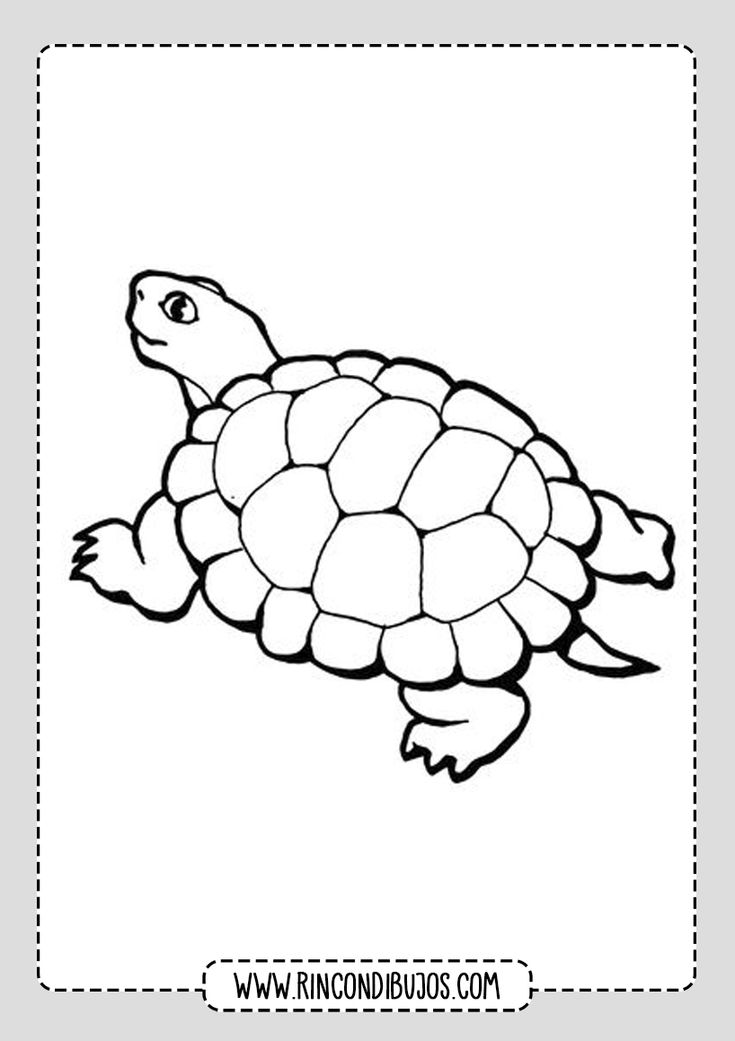 Dibujos de tortugas para colorear