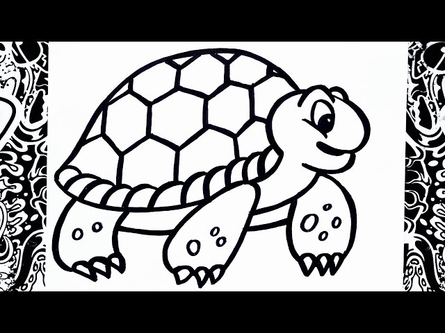 O dibujar una tortuga how to draw turtle