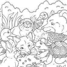 Cute franklin coloring pages