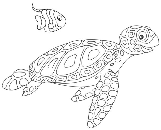 Sea turtle and butterflyfish stock illustration