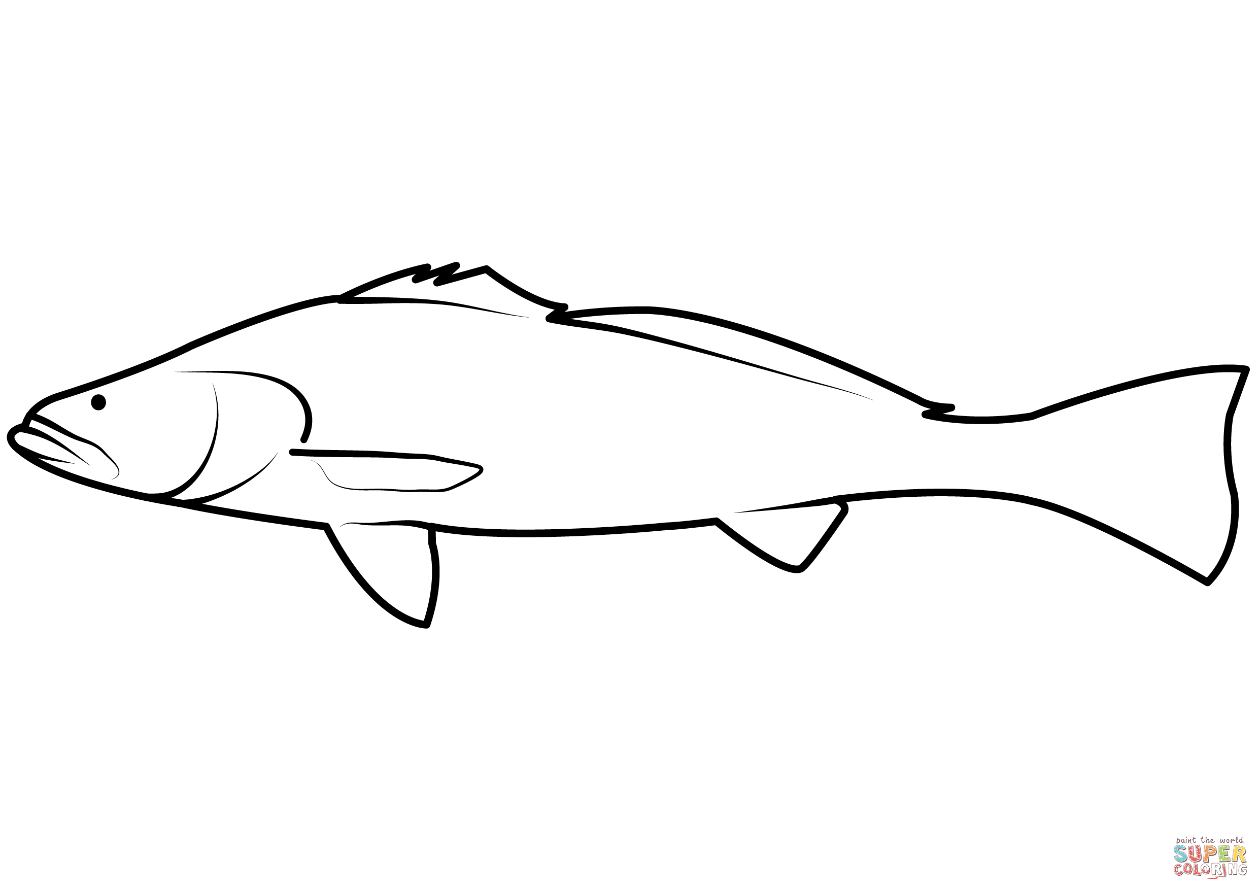 Totoaba totoaba macdonaldi coloring page free printable coloring pages