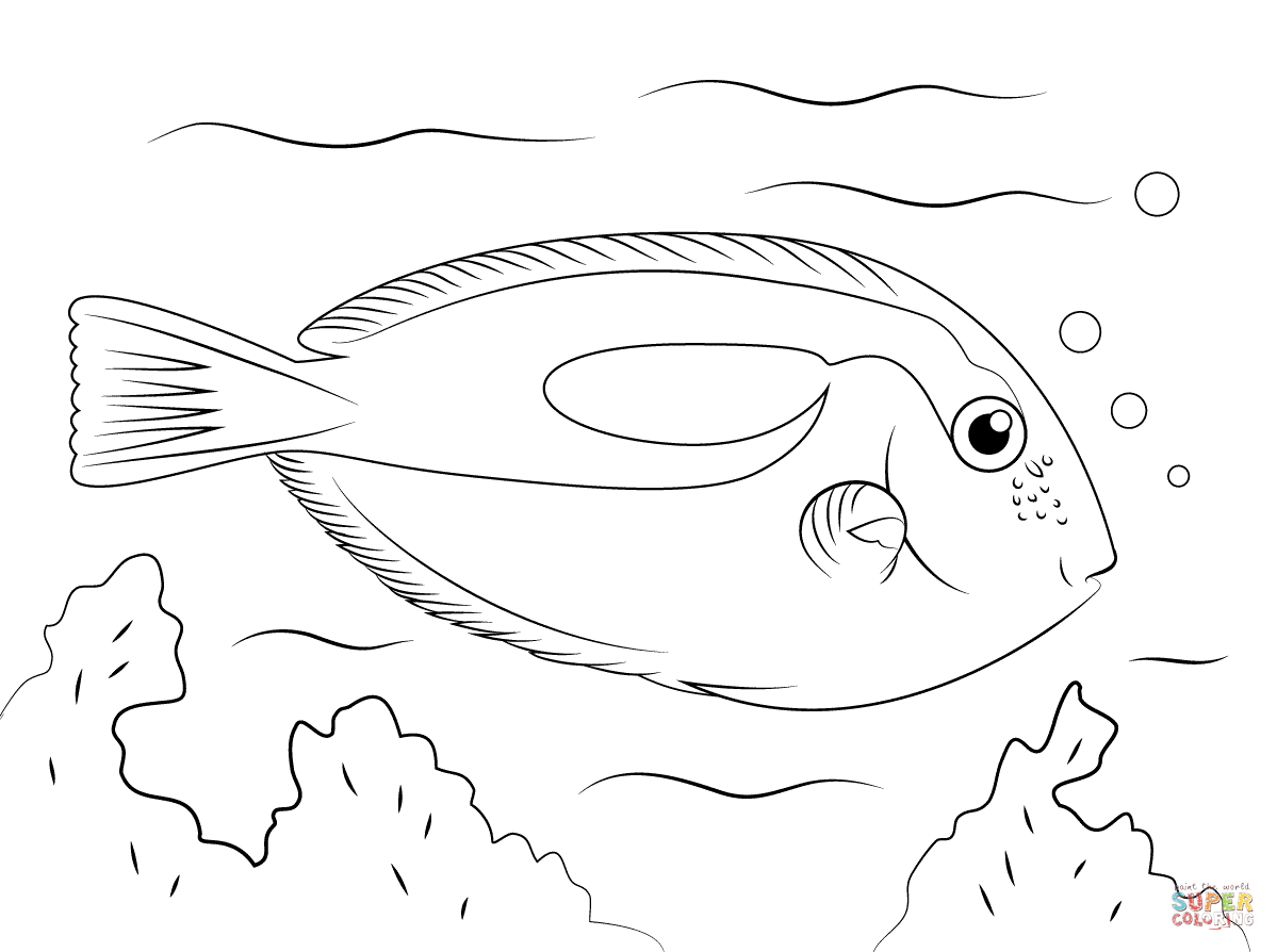 Tropical fish coloring pages free printable pictures fish coloring page coloring pages animal coloring pages