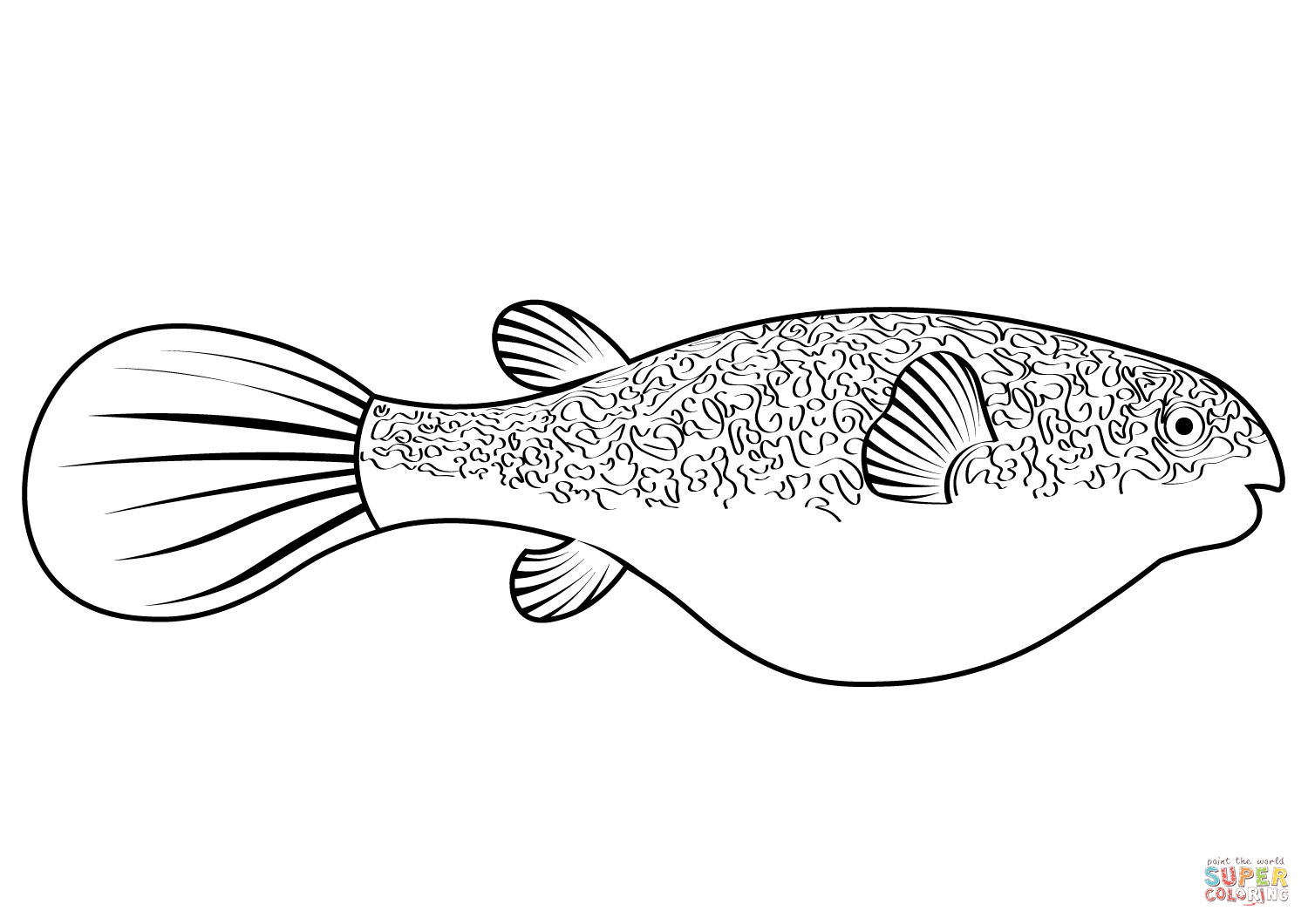 Mbu pufferfish tetraodon mbu coloring page free printable coloring pages