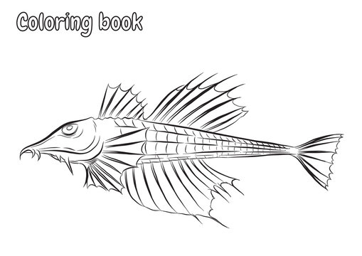 Agonomalus jordani fish art highly detailed in line art stylefish vector by hand drawingfish tattoo on white backgroundfish vector for coloring book vector