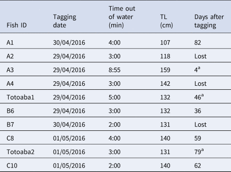 First record of vertical movements of the totoaba totoaba macdonaldi as evidenced by pop